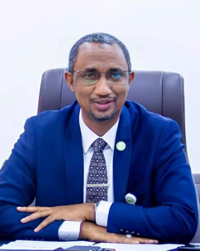Prof Mansur Bako Matazu - UNDRR